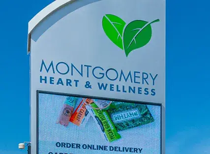 LOREM IPSUM DOLOR SIT AMET, CONSECTETUR ADIPISCING ELIT.