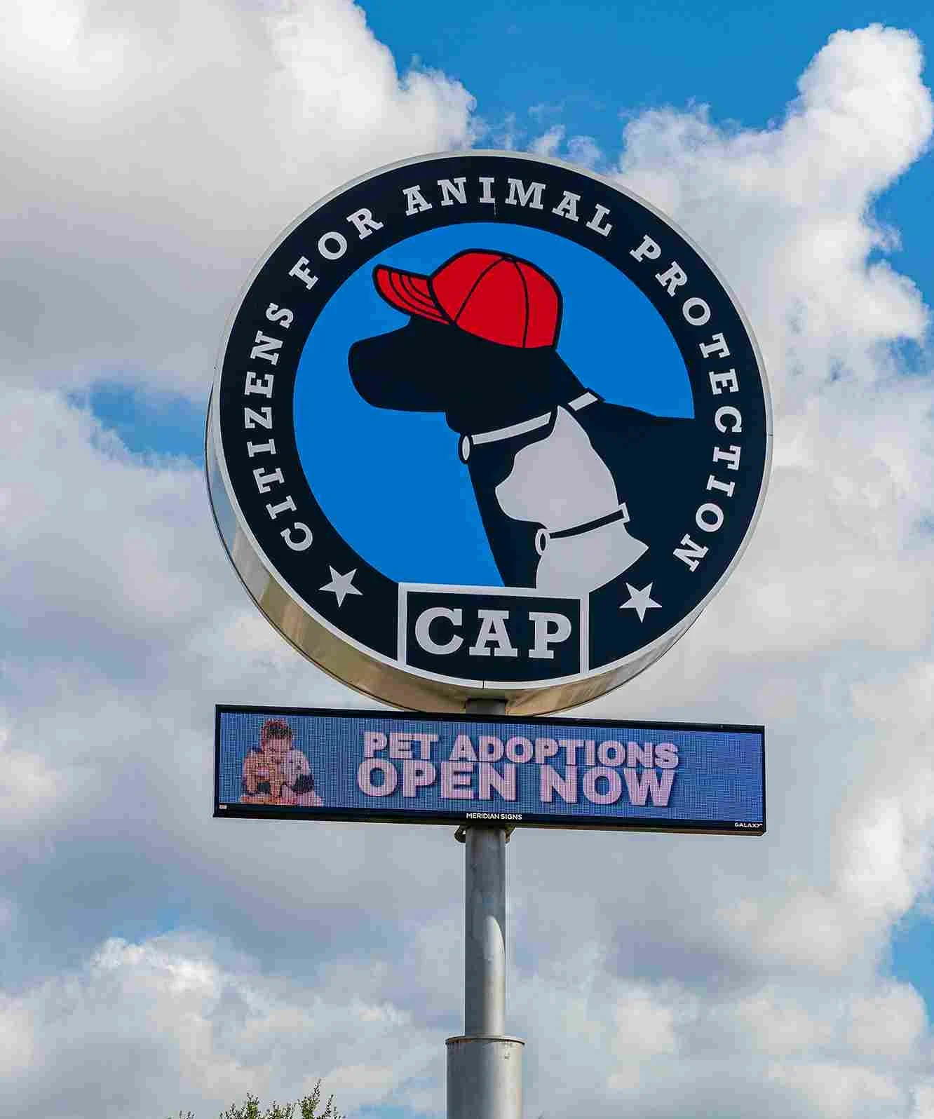 Citizens for Animal Protection
