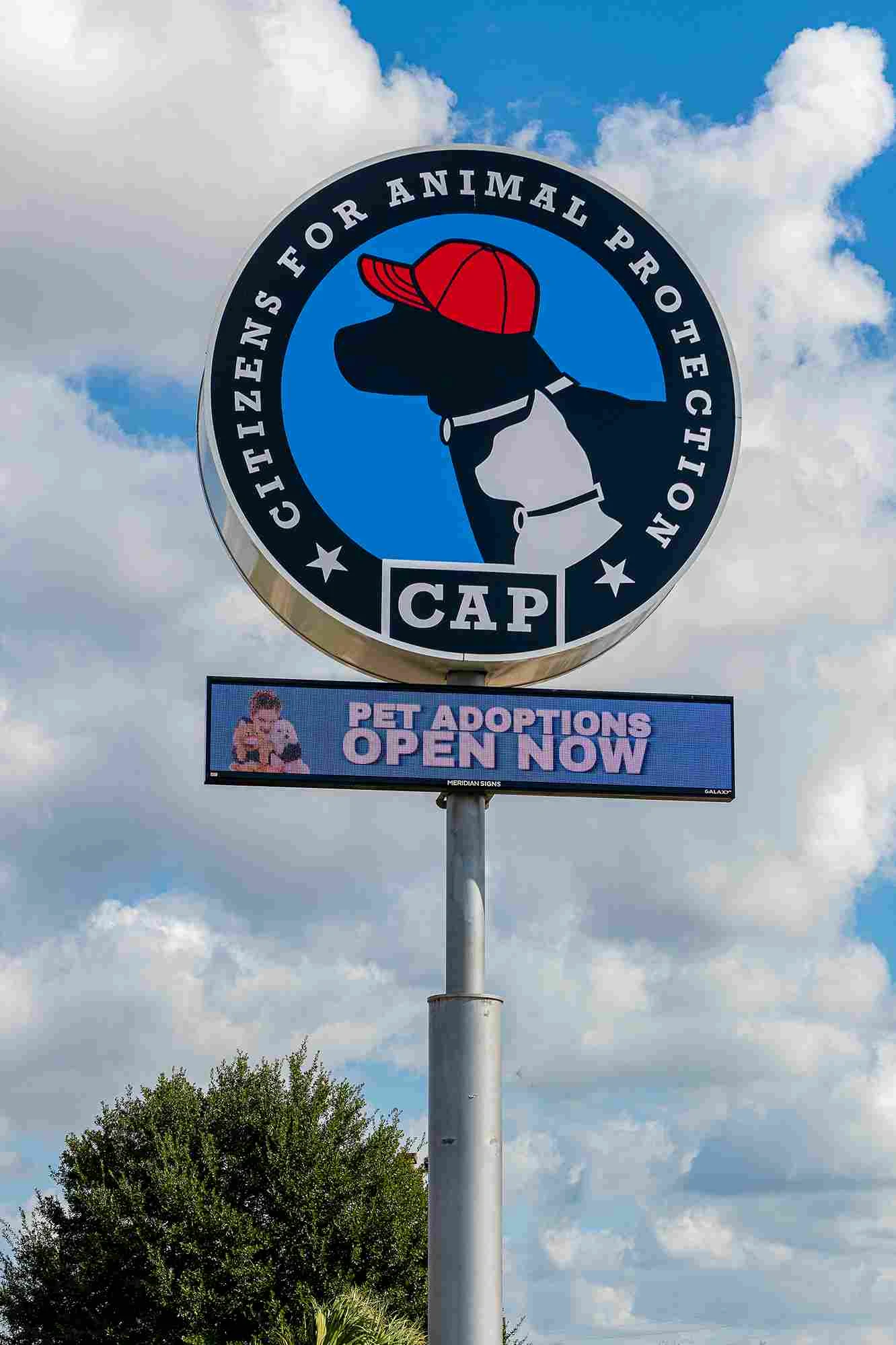 Citizens for Animal Protection